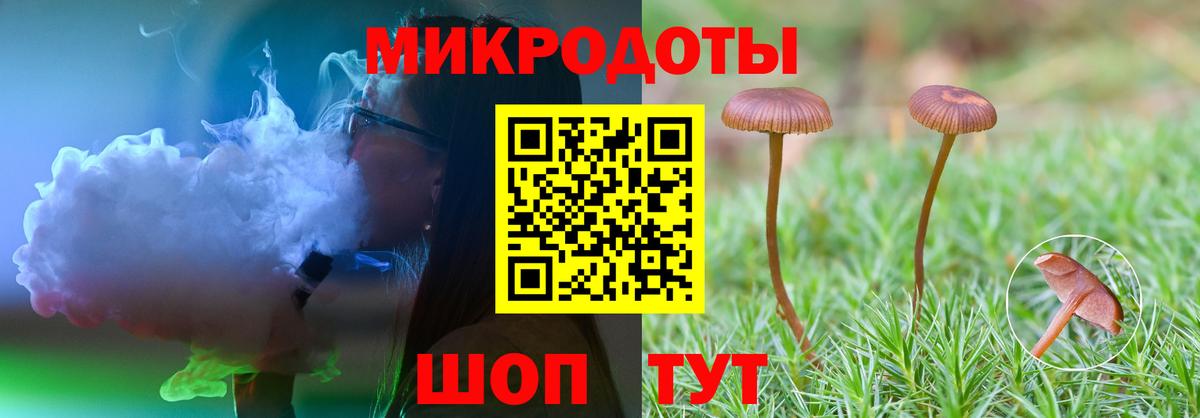 Псилоцибиновые грибы Psilocybe  Вход с VPN  Каспийск  Галлюциногенные грибы мицелий 